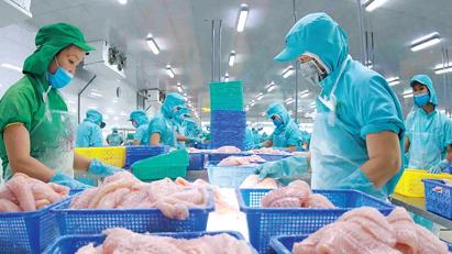 Xuất khẩu thủy sản “giảm tốc” trong tháng 5 do tác động từ chính sách thuế của Hoa Kỳ