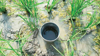 Đăng ký thành công tín chỉ carbon theo tiêu chuẩn Verra