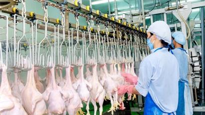 Singapore mong muốn mở rộng thêm các mặt hàng thực phẩm nhập khẩu từ Việt Nam