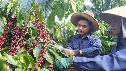 Xuất khẩu sang Tây Ban Nha thời gian tới sẽ gặp nhiều khó khăn