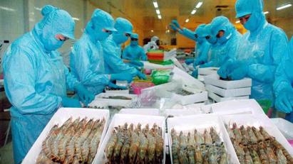 Hoa Kỳ ban hành kết luận sơ bộ trong kỳ rà soát hành chính lần thứ 19 với tôm Việt Nam