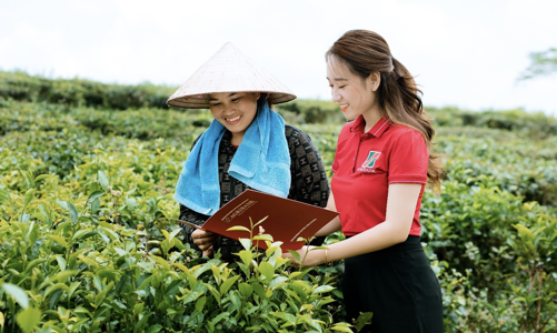 Dự án nông nghiệp tuần hoàn được vay không tài sản bảo đảm tới 70% giá trị dự án