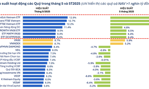 VN-Index hồi phục ngoạn mục, 22 quỹ cổ phiếu báo hiệu suất tăng kỷ lục trong một năm qua 