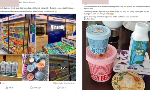 Top 10 thương hiệu sữa được chọn mua nhiều nhất Việt Nam: Có đến 5 nhãn hiệu cùng 