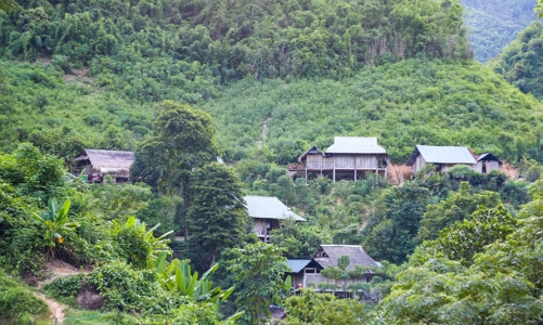Nghệ An: HĐND thông qua việc phân bổ gần 1.500 tỷ đầu tư hạ tầng, an sinh  khu vực miền núi của tỉnh