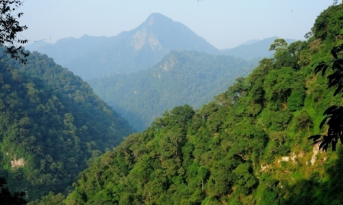 ERPA giúp nâng cao sinh kế và bảo vệ rừng, song nhiều chủ rừng chưa tiếp cận hiệu quả