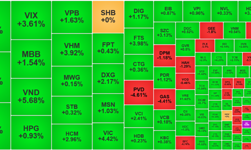 Thanh khoản cao nhất 7 phiên, dòng tiền đã bị thuyết phục?