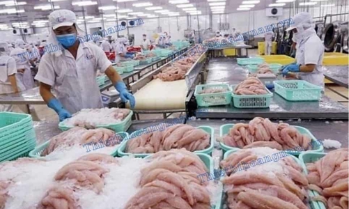 Tám doanh nghiệp cá tra - basa phi lê hưởng thuế chống bán phá giá 0% khi xuất khẩu sang Hoa Kỳ