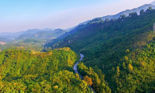 Việt Nam đang dần hoàn thiện khung pháp lý cho thị trường “carbon rừng” 