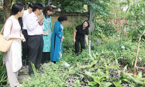 Phát triển cây dược liệu gắn với du lịch tại Ninh Bình
