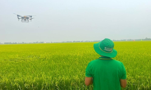 Việt Nam đặt mục tiêu 2,5 triệu ha diện tích áp dụng canh tác trồng trọt giảm phát thải vào năm 2030