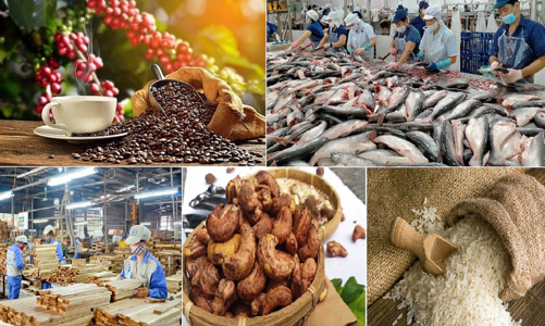 Xác định 3 nhóm giải pháp trọng tâm để đẩy mạnh xuất khẩu nông, lâm, thủy sản 