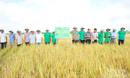 Nhật Bản cam kết hỗ trợ tài chính và công nghệ thúc đẩy chuyển đổi carbon thấp tại Việt Nam