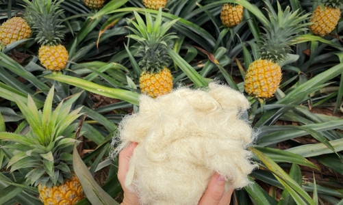 Thời trang Việt khát vọng đưa vải sợi xanh ra thế giới