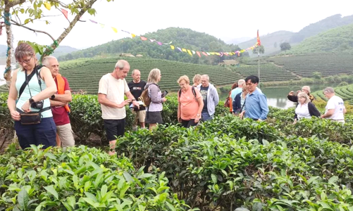 Du lịch Nghệ An thu về hơn 7.300 tỷ đồng 