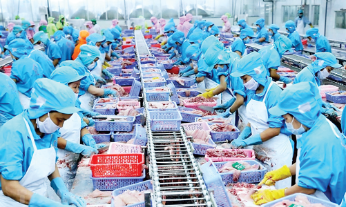 Nỗ lực duy trì đà tăng trưởng xuất khẩu nông, lâm, thủy sản 