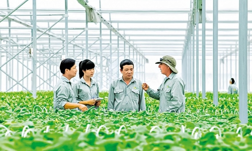 Chính thức có tiêu chí môi trường và xác nhận dự án đầu tư thuộc danh mục phân loại xanh