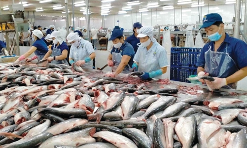 Xuất khẩu thuỷ sản sang Mỹ suy giảm mạnh trong tháng 6/2025