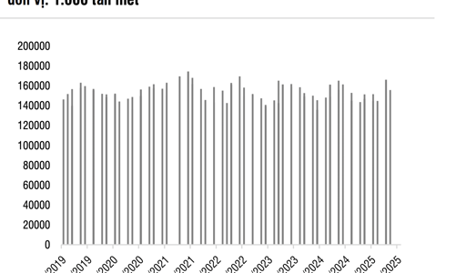 Xu hướng bảo hộ thép gia tăng toàn cầu: Lợi nhuận doanh nghiệp thép trông chờ vào đâu? 