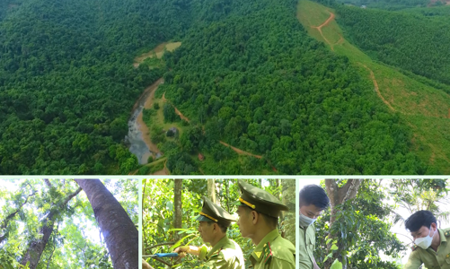 Chương trình ERPA mang về gần 200 tỷ cho các chủ rừng tại Thanh Hóa