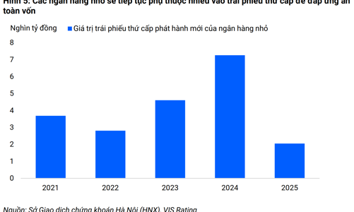 Trái phiếu thứ cấp vẫn là “phao cứu sinh” cho các ngân hàng nhỏ