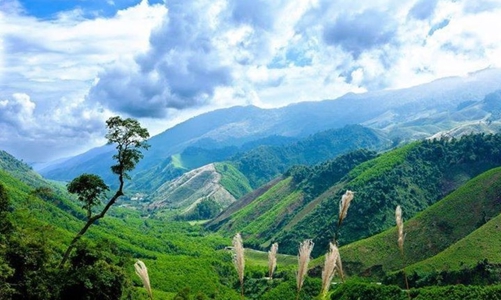 Gần 136 tỷ đồng chi trả giảm phát thải khí nhà kính cho các chủ rừng tại Huế