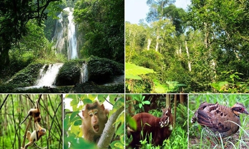 Gần 122 tỷ đồng hỗ trợ bảo tồn đa dạng sinh học Trung Trường Sơn