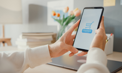 Thương mại điện tử đẩy mạnh thói quen tiêu dùng trực tuyến bằng chiến lược “freeship” mọi đơn