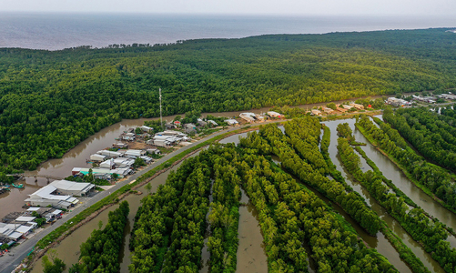 Cà Mau phát triển xanh bền vững, vươn mình từ biển