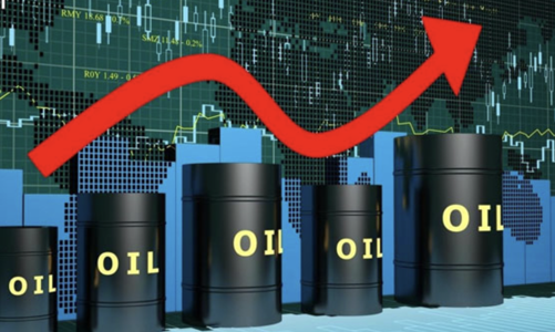 Thị giá nhóm dầu khí đang rất thấp so với mức tăng của VN-Index, cơ hội đầu tư hấp dẫn? 