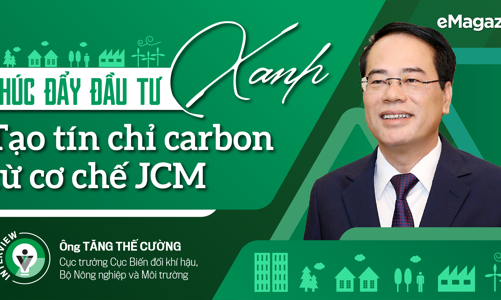 Thúc đẩy đầu tư xanh, tạo tín chỉ carbon từ cơ chế JCM