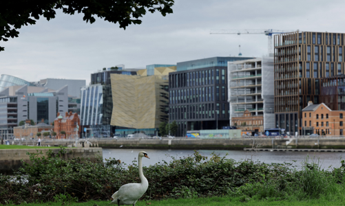 Vì sao kinh tế Ireland tăng trưởng bùng nổ rồi lại giảm?