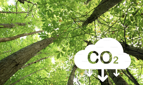 Năm 2028, Việt Nam sẽ xây dựng, tổ chức vận hành thí điểm sàn giao dịch carbon trong nước