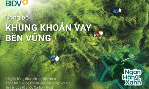 BID vào top 20 cổ phiếu phát triển bền vững nhất Việt Nam lần thứ 2 liên tiếp