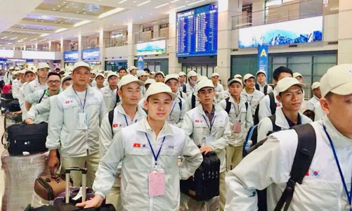 Tăng cơ hội cho lao động chuyên môn kỹ thuật sang Hàn Quốc làm việc 