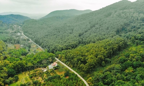 Thanh Hóa phát triển rừng gỗ lớn gắn với Chứng chỉ FSC bền vững và chế biến sâu