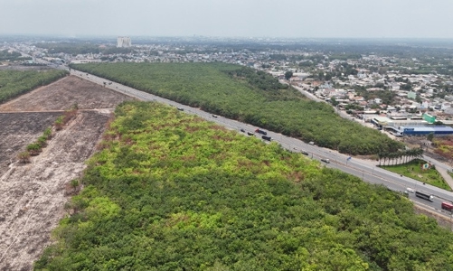 Đồng Nai chuẩn bị đấu giá nhiều khu đất