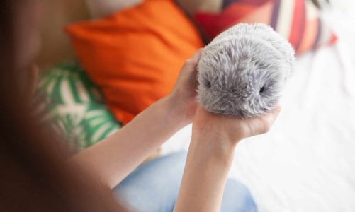 Trào lưu “nuôi” robot thú cưng ngày càng sôi động