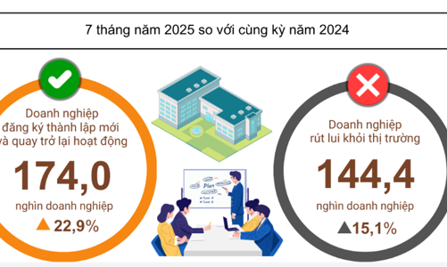 Gam màu tương phản trong bức tranh doanh nghiệp 7 tháng đầu năm 2025