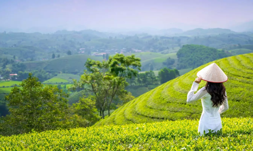 Du lịch Việt Nam khởi sắc mạnh mẽ trong 7 tháng đầu năm