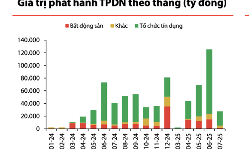 Phát hành trái phiếu doanh nghiệp bất ngờ sụt giảm mạnh