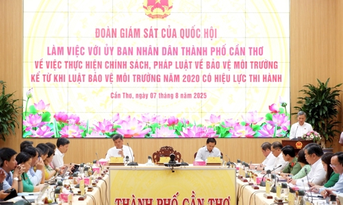 Giám sát thực hiện chính sách pháp luật bảo vệ môi trường tại Cần Thơ