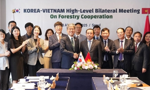 Thúc đẩy hợp tác Việt- Hàn, mở rộng phục hồi rừng, thương mại gỗ và tín chỉ carbon