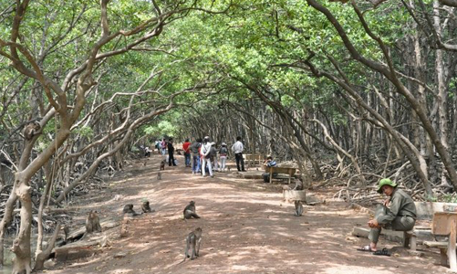 Tp.HCM định hướng Cần Giờ sẽ là thành phố du lịch