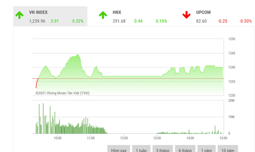 Thị trường vẫn có khả năng tiến lên sau nhịp rung lắc