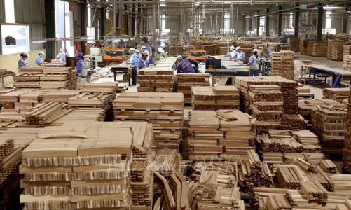 Khoảng trống pháp lý trong cung ứng gỗ hợp pháp