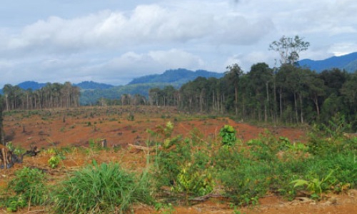 Thanh tra việc sử dụng đất tại các nông, lâm trường