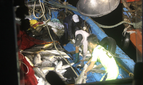 Thứ trưởng Nông nghiệp: Biển 4 tỉnh miền Trung đã sạch