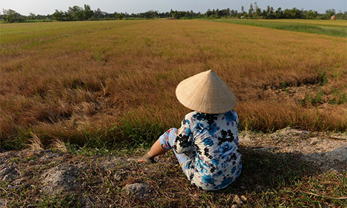 Vay WB 560 triệu USD phát triển đồng bằng sông Cửu Long