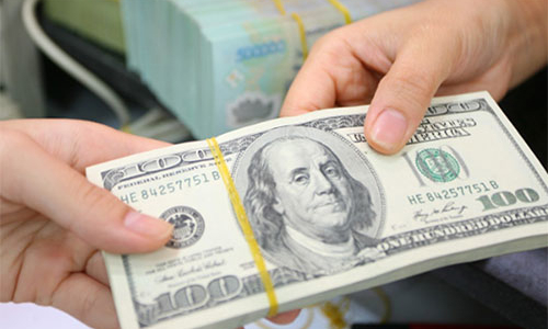 “Cầu ngoại tệ không có yếu tố đột biến”